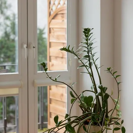 Downtown By The Park By Renters *