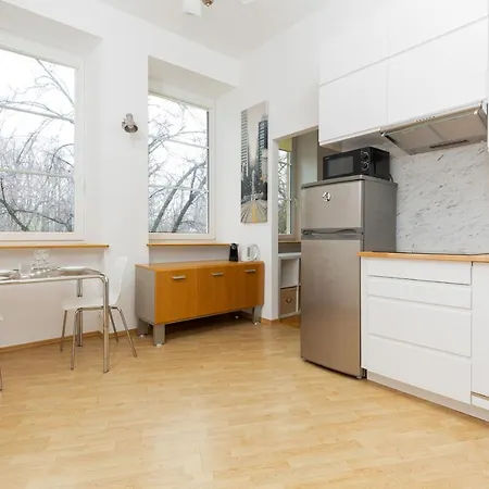 Downtown By The Park By Renters